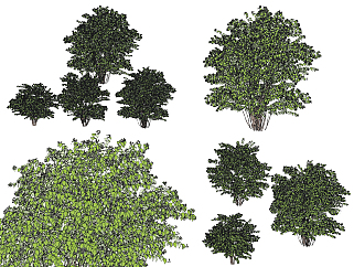 现代灌木,<em>绿篱</em>,矮树su草图模型下载