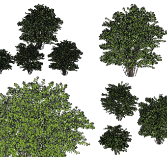 现代灌木,绿篱,矮树su草图模型下载