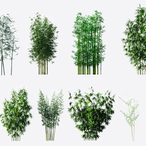现代绿植竹子,竹林su草图模型下载