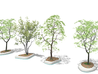 新中式景观小品 树池 乔木 景观树su草图模型下载
