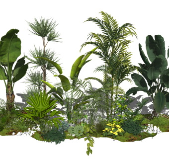 现代植物 绿植 室外灌木，大叶植物绿植，芭蕉叶su草图模型下载