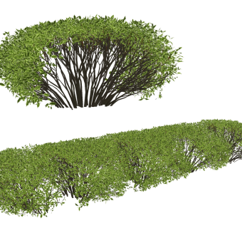 现代绿篱灌木su草图模型下载