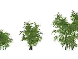 现代竹节，<em>竹子</em>，树,<em>su</em>草图模型下载