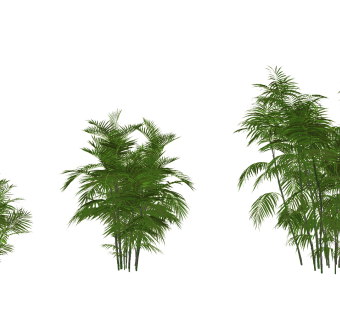 现代竹节，竹子，树,su草图模型下载