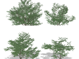 现代绿植灌木,<em>矮树</em>su草图模型下载