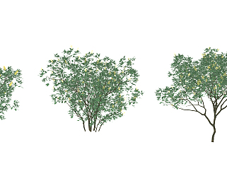 现代植物灌木,绿植<em>矮树</em>su草图模型下载