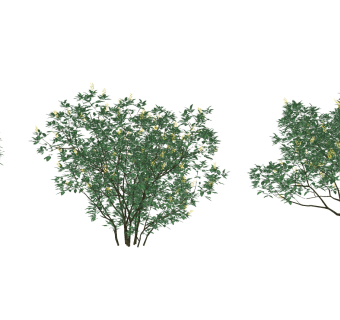 现代植物灌木,绿植矮树su草图模型下载