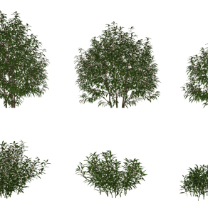 现代绿植灌木丛su草图模型下载