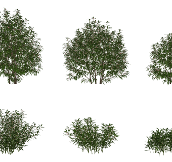 现代绿植灌木丛su草图模型下载