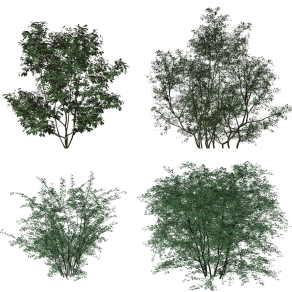 现代绿植灌木su草图模型下载