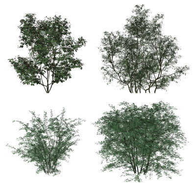 现代绿植灌木su草图模型下载