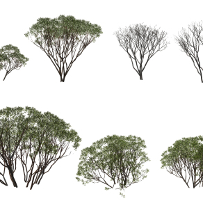 现代红树灌木su草图模型下载