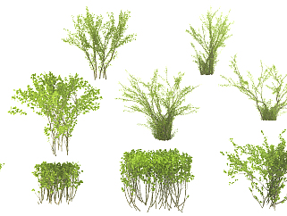 现代绿化灌木su草图模型下载