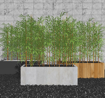 现代室外竹子盆栽su草图模型下载