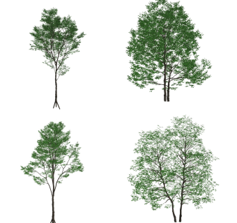 现代景观树su草图模型下载