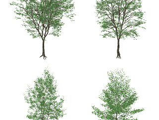 现代景观树,su草图模型下载