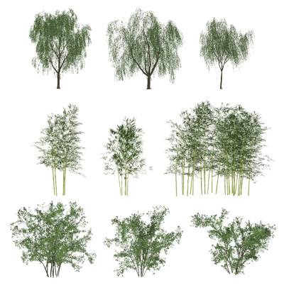 现代柳树竹子,su草图模型下载