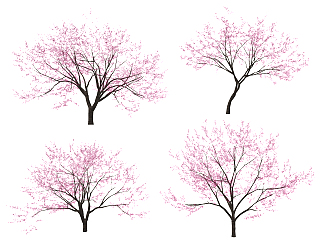现代<em>樱花</em>树景观树,su草图模型下载