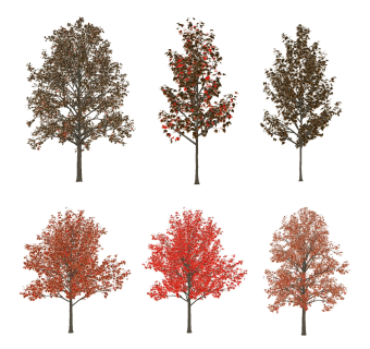 现代秋季树su草图模型下载