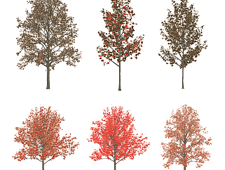现代秋季树su草图模型下载