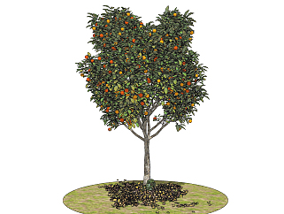 现代果树su草图模型下载
