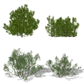现代绿植,灌木su草图模型下载