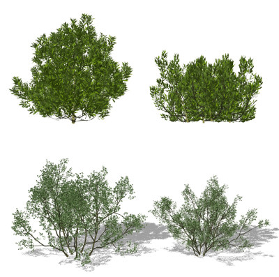 现代绿植,灌木su草图模型下载