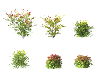 现代南天竺灌木植物su草图模型下载