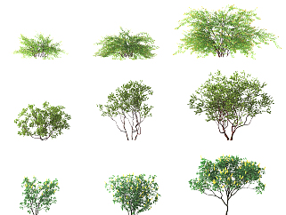 现代灌木植物su草图模型下载