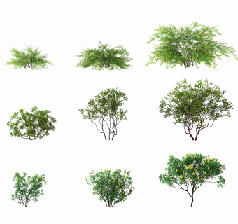 现代灌木植物su草图模型下载