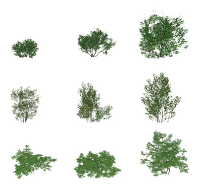 现代灌木植物su草图模型下载