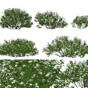 现代绿植灌木su草图模型下载