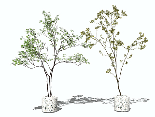 现代植物，盆栽su草图模型下载