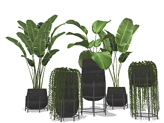 现代芭蕉绿植盆栽，花盆su草图模型下载
