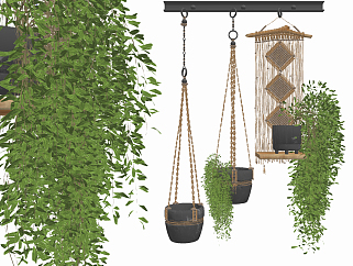 现代悬挂绿植盆栽，吊篮su草图模型下载