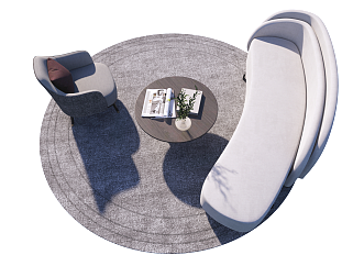 沙发组合 异形沙发 圆形地毯  休闲沙发 茶几摆件su草图模型下载