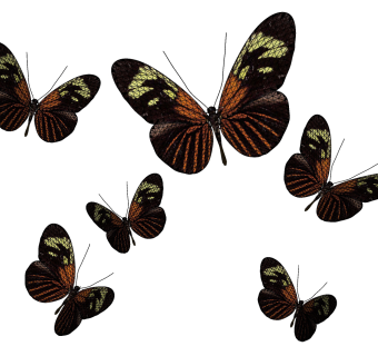 现代蝴蝶装饰品，墙饰挂饰su草图模型下载