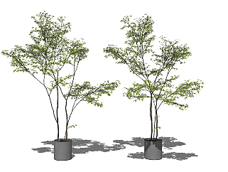 现代植物，绿植盆栽花盆盆栽su草图模型下载