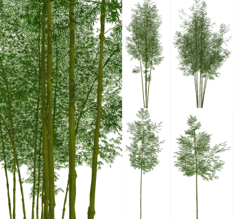 现代竹子,植物su草图模型下载