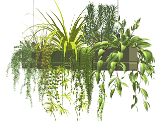 现代吊篮绿植,<em>植物</em>,盆景su草图模型下载