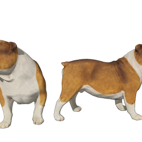 现代狗,宠物狗su草图模型下载