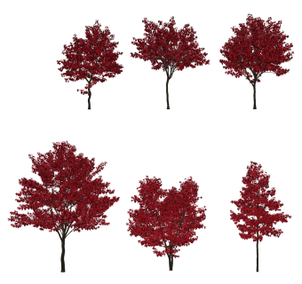 现代树,户外树木,行道树 su草图模型下载