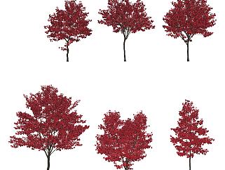 现代树,户外树木,行道树 su草图模型下载