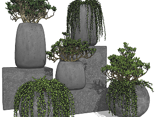 混凝土<em>花盆植物</em>，绿植，盆栽组合su草图模型下载