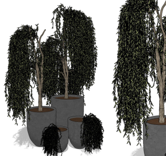 现代盆栽植物su草图模型下载