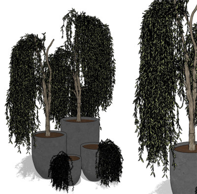 现代盆栽植物su草图模型下载