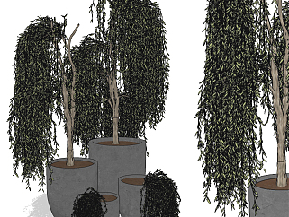 现代盆栽植物su草图模型下载