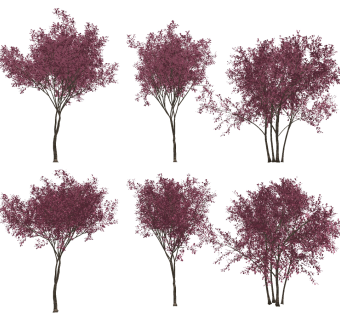 现代树,植物 樱花树)su草图模型下载