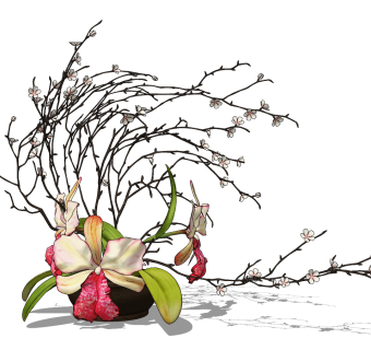 现代花盆,花卉 插花 花艺su草图模型下载