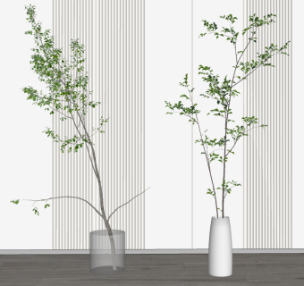 13现代绿植，花瓶，花艺，插花su草图模型下载